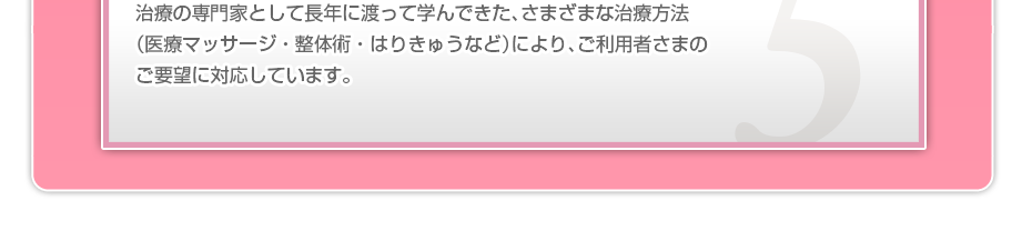 治療の専門家として長年に渡って学んできた、さまざまな治療方法（医療マッサージ・整体術・はりきゅうなど）により、ご利用者さまのご要望に対応しています。